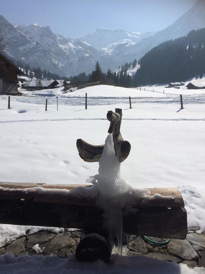 Bergdohle Apartment Adelboden Luaran gambar