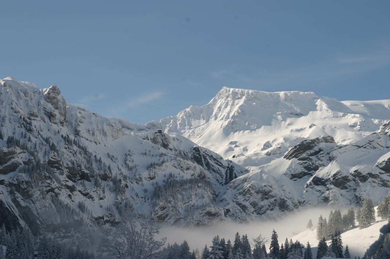 Bergdohle Apartment Adelboden Luaran gambar