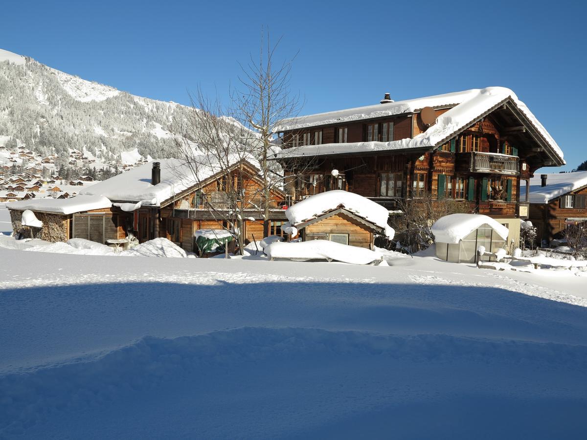 Bergdohle Apartment Adelboden Luaran gambar